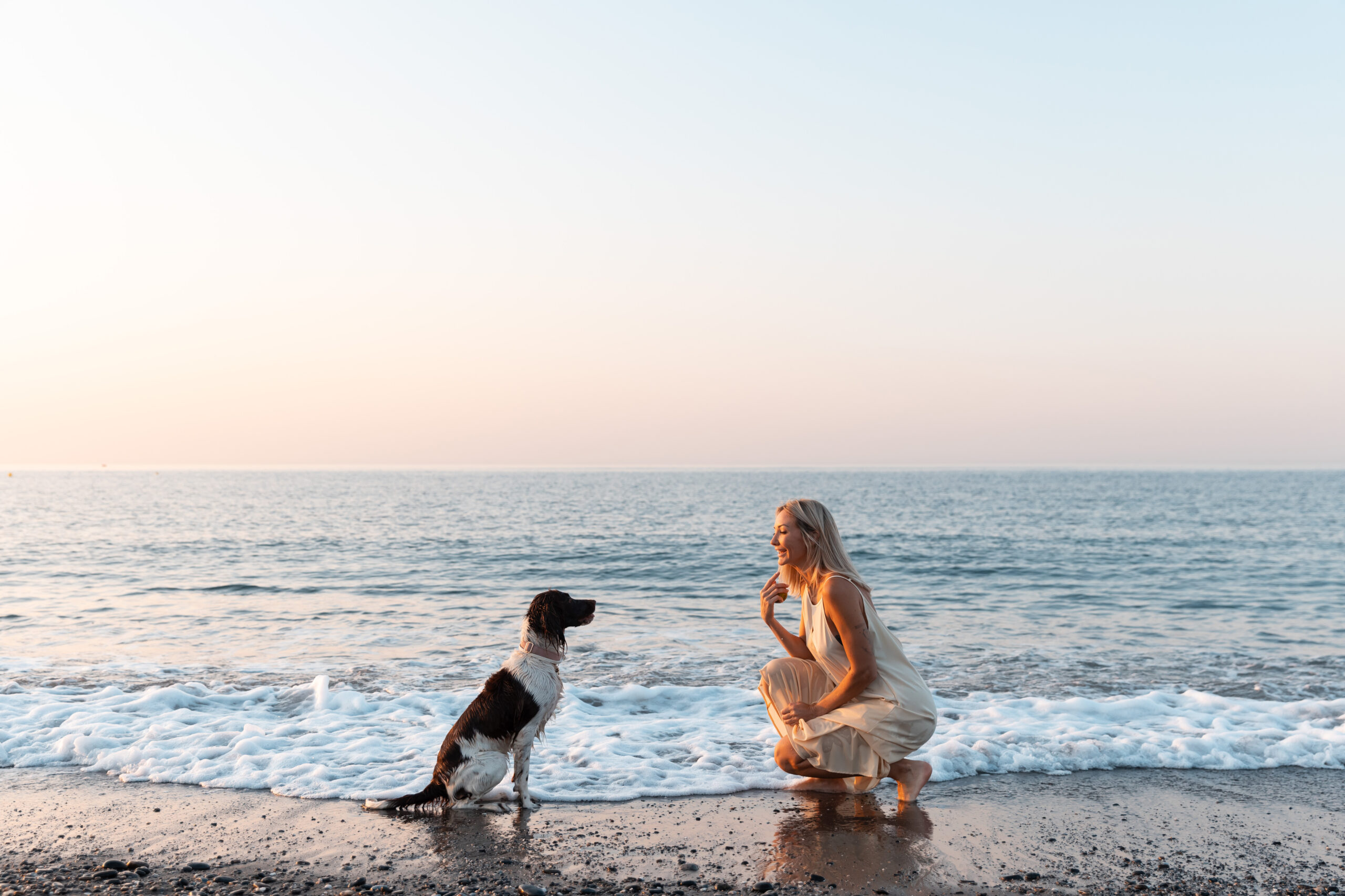 The Best Dog Walks Around Marbella – A Lifestyle for You and Your Pet