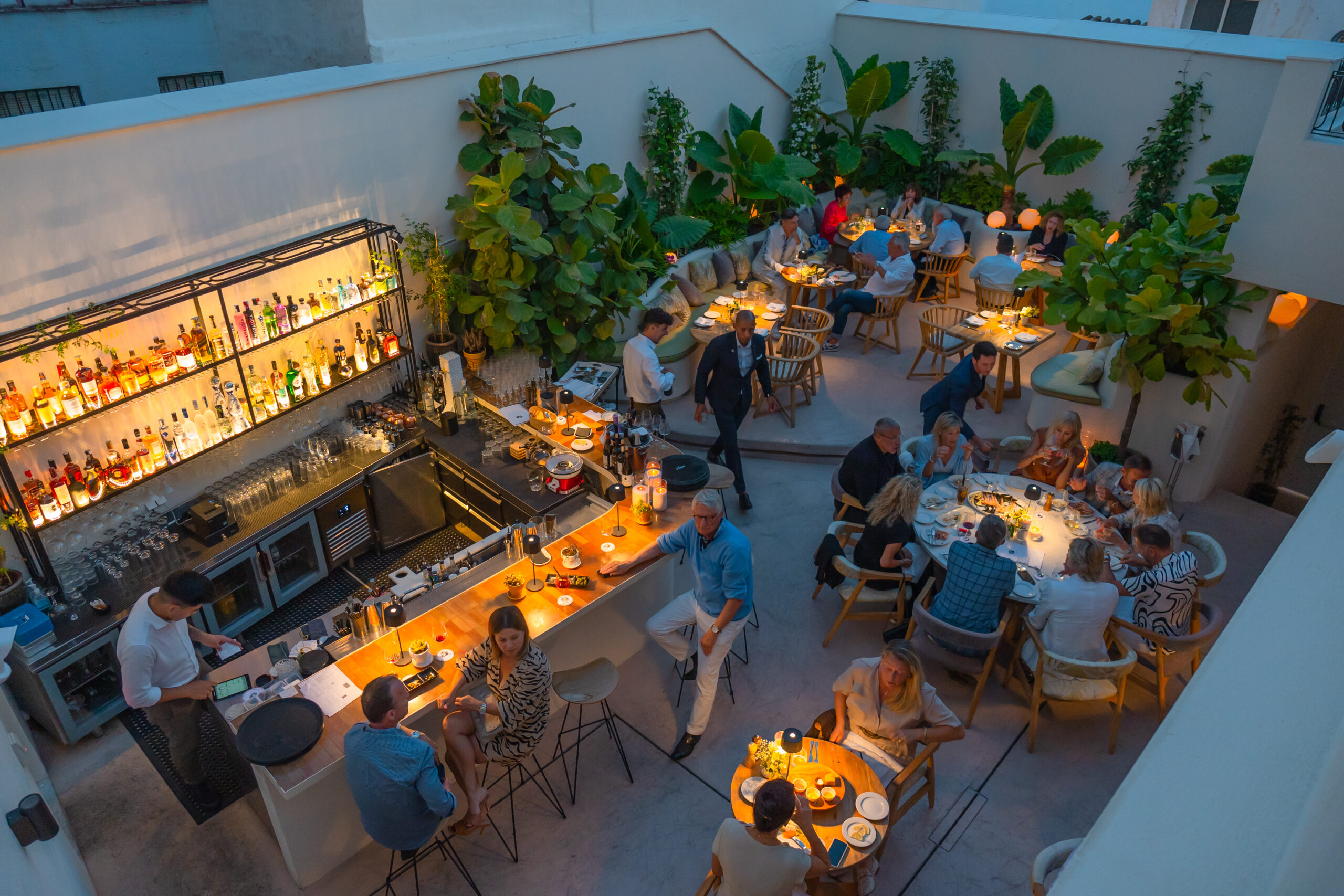 5 THINGS TO DO THIS JANUARY IN MARBELLA