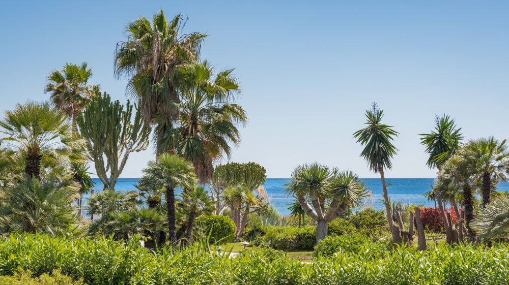 3-Bed Beachfront Apartment, Costalita, Estepona